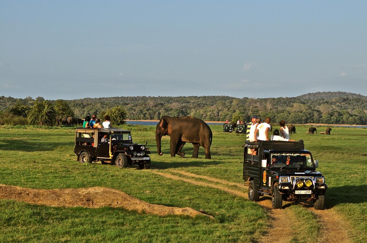 Kumbukgaha Villa Sigiriya Buitenkant foto
